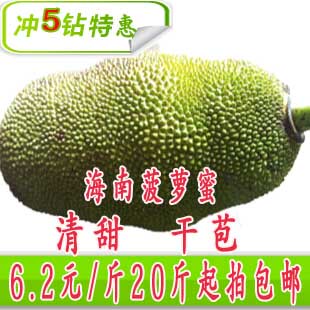  冲5钻 海南三亚新鲜水果 菠萝蜜 木菠萝 马来西亚1号20斤起拍包邮