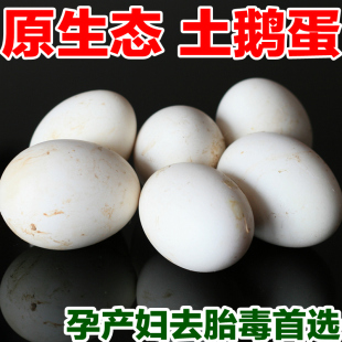  农家散养土鹅蛋 新鹅处子蛋原生态有机草鹅蛋 孕产妇去胎毒首选