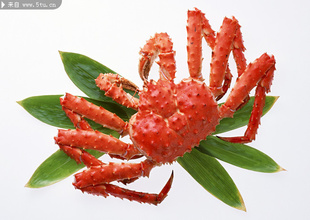  熟冻 顶级海鲜帝王蟹 皇帝蟹肉质鲜甜弹牙螃蟹进口水产品海鲜特价