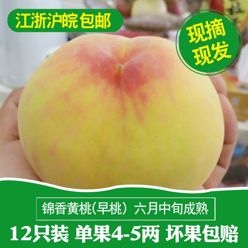 Yellow peach six fresh fruit Jiashan Sweet Straight quality ensure Momoka Richin the Aquatic meat/Fresh fruits and vegetables/Cooked , Fresh fruit , Peach category - from Buy2taobao.com to provide professional Taobao agent buy service