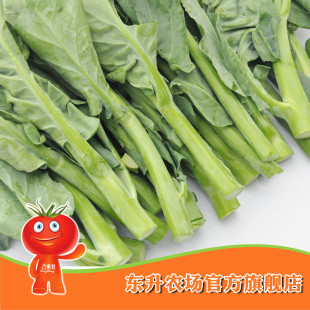  【东升农场】绿色芥兰_青菜_健康食品_绿色蔬菜 广州配送（300g）