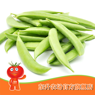  【东升农场】东升绿色甜豆_蔬菜甜豆 健康食品_绿色蔬菜（200g）