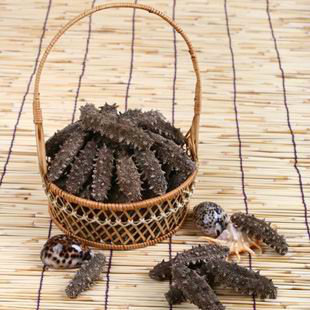  【天猫年货】神龙岛  至尊淡干无糖野生海参 500克 刺参 礼盒装