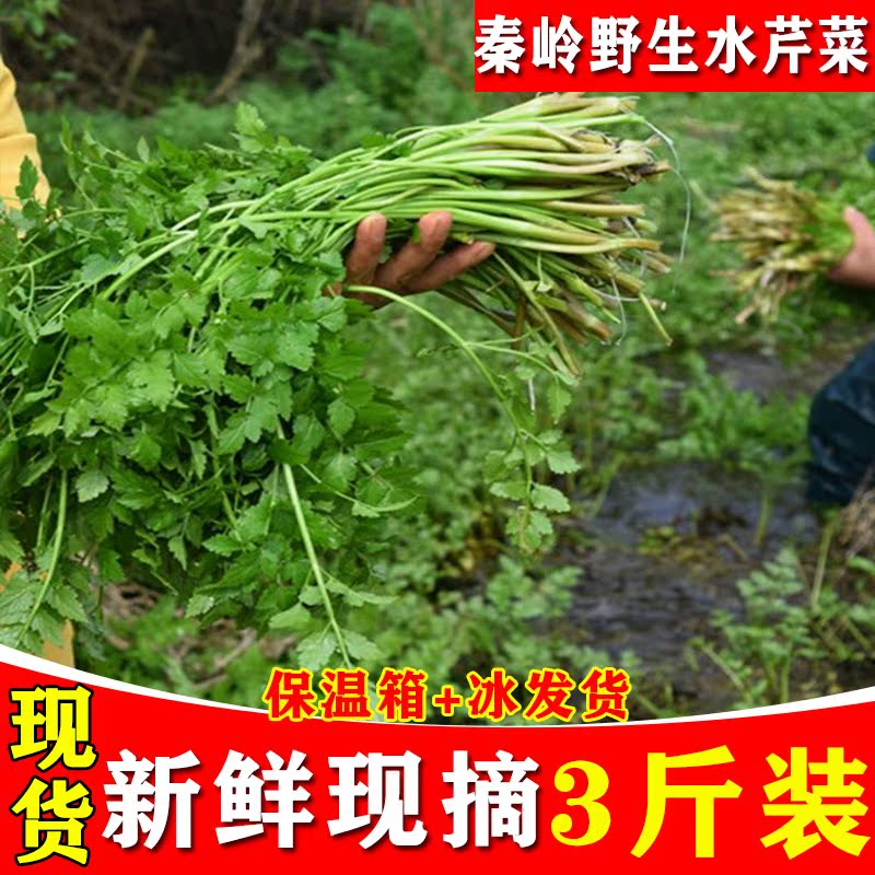 秦岭野生水芹菜新鲜野芹菜绿色时令野菜香芹蔬菜现摘现发3斤包邮在类目 水产肉类/新鲜蔬果/熟食, 新鲜蔬菜/蔬菜制品, 新鲜蔬菜, 其它中 - 来自Buy2taobao.com提供专业的淘宝代购服务