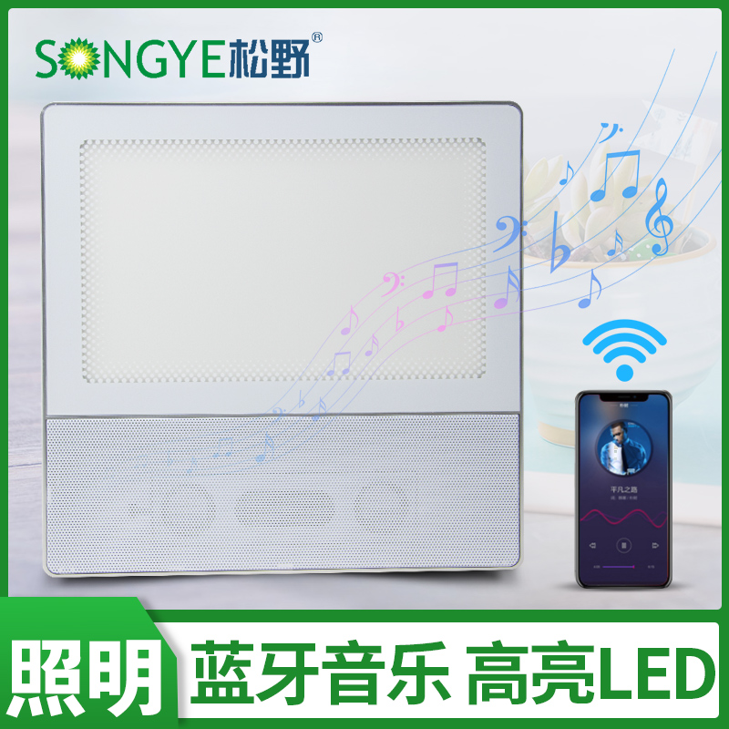 松野廚房燈集成吊頂led燈具衛生間平板嵌入式鋁扣板吸頂音箱音樂在類目 家裝主材, 集成吊頂, 電器模塊, 照明模塊中 - 來自Buy2taobao.com提供專業的淘寶代購服務