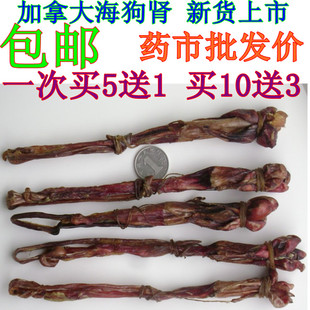  加拿大 海狗鞭 海狗肾 批发价包邮新 特补药酒原料 送金虫草10克