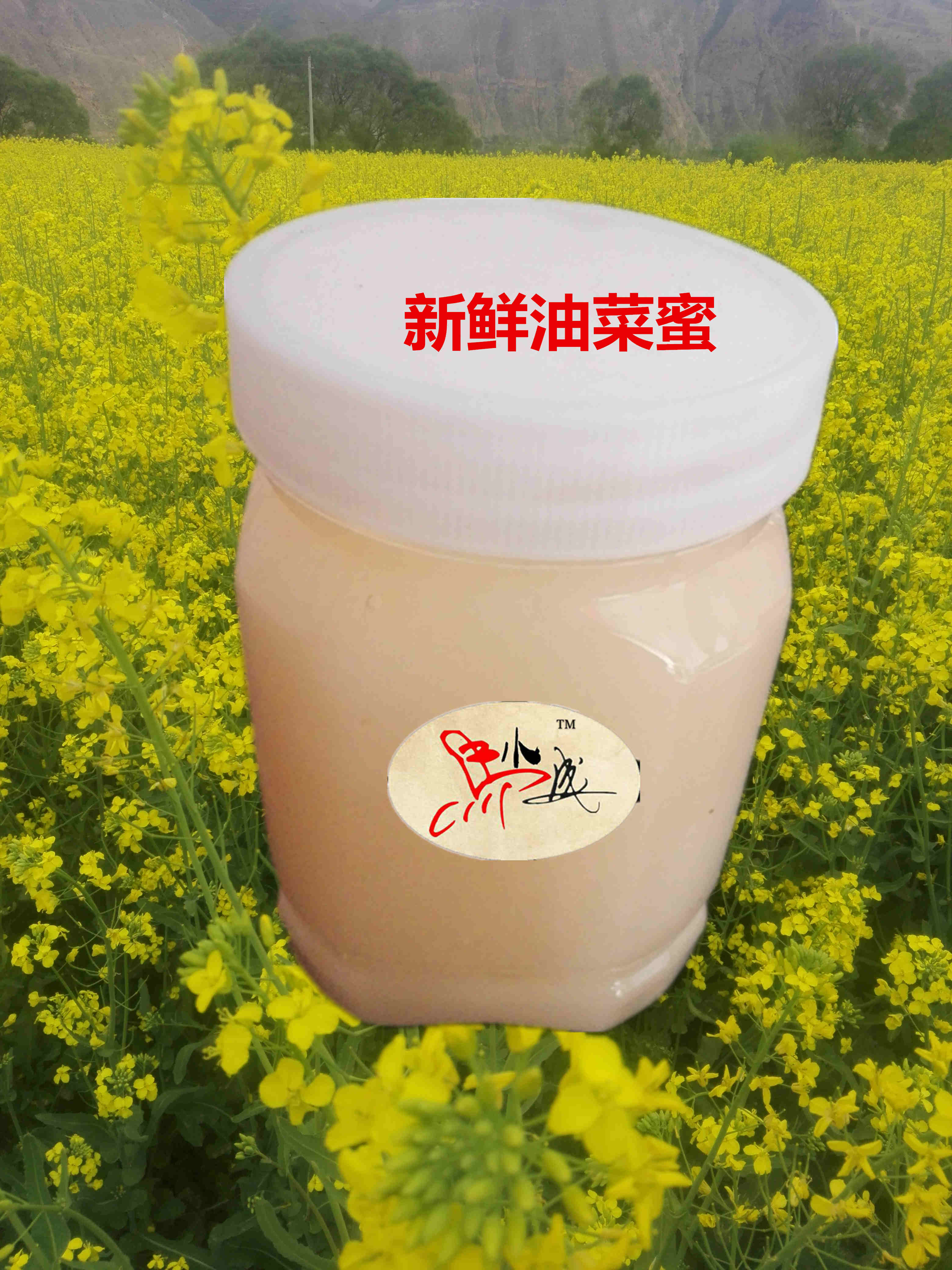 2019我家蜂场自产油菜蜂蜜菜花蜜500克包邮洁白细腻结晶送勺子在类目 传统滋补营养品, 蜂蜜中 - 来自Buy2taobao.com提供专业的淘宝代购服务