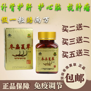  正品同仁堂冬虫夏草胶囊 养肝护肾 虫草不是含片 菌丝体 买二送一