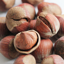  【特价猫】好宜德 零食特产 东北野生开口大榛子 168g