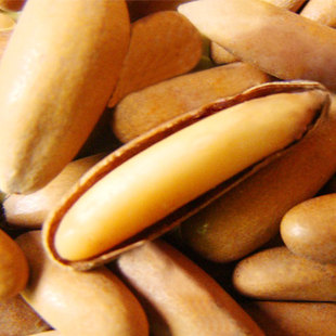  4份包邮 坚果炒新货巴基斯坦正宗巴西松子125g食人谷特级手剥