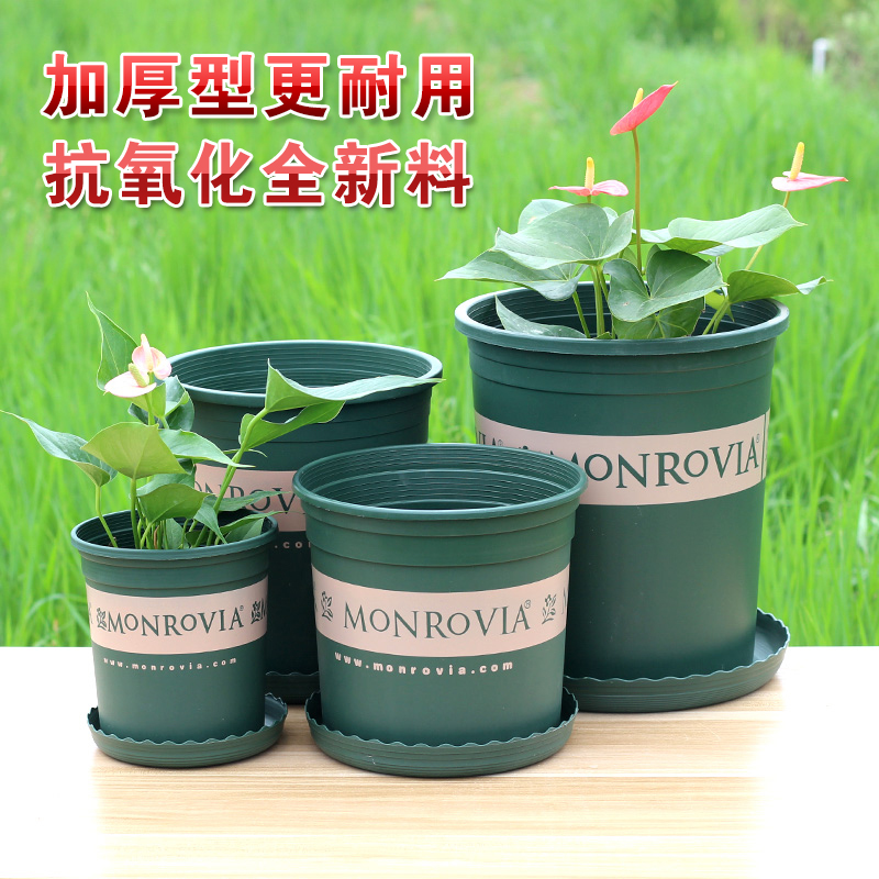 加仑花盆多肉花盆塑料树脂圆形创意种植盆栽绿萝特大号花盆在类目 家居饰品, 花瓶/花器/仿真花/仿真饰品, 花器/花瓶, 花盆中 - 来自Buy2taobao.com提供专业的淘宝代购服务