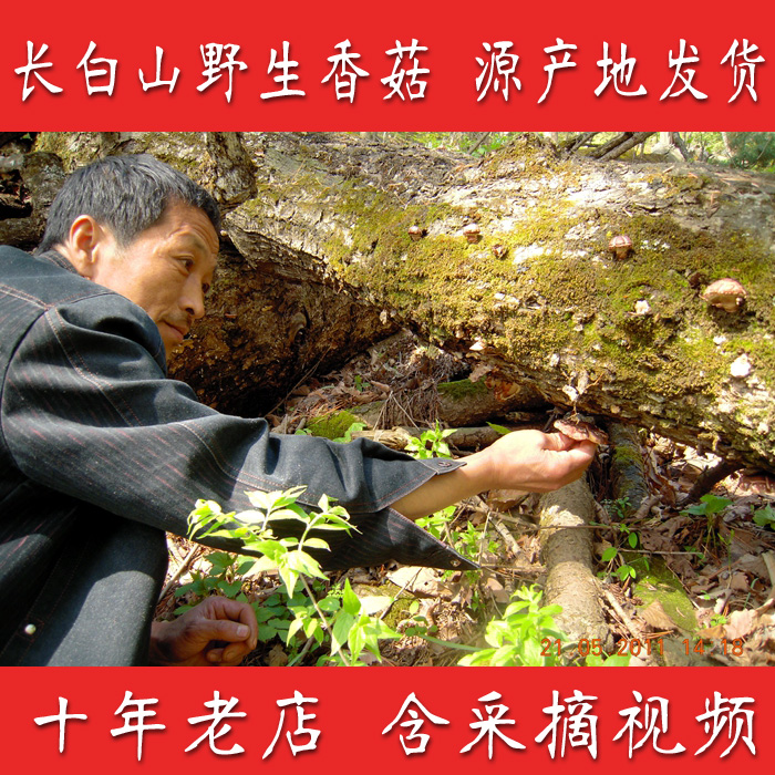 皇冠店 長白山 野生香菇 秋香菇 29元半斤 食補 超高好評在類目 糧油米麪/南北乾貨/調味品, 南北乾貨/肉類乾貨, 乾貨/土特產, 香菇類中 - 來自Buy2taobao.com提供專業的淘寶代購服務