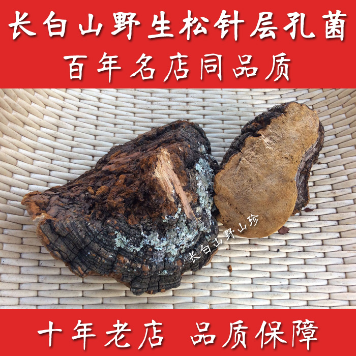 長白山野生松針層孔菌 松木層孔菌 松針靈芝 林芝 60元壹斤在類目 傳統滋補營養品, 靈芝, 整枝靈芝中 - 來自Buy2taobao.com提供專業的淘寶代購服務