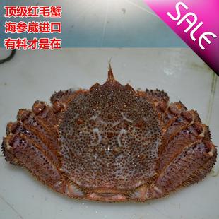  俄罗斯海参崴 进口红毛蟹 鲜活海鲜 日料食材专供 螃蟹鲜活现货