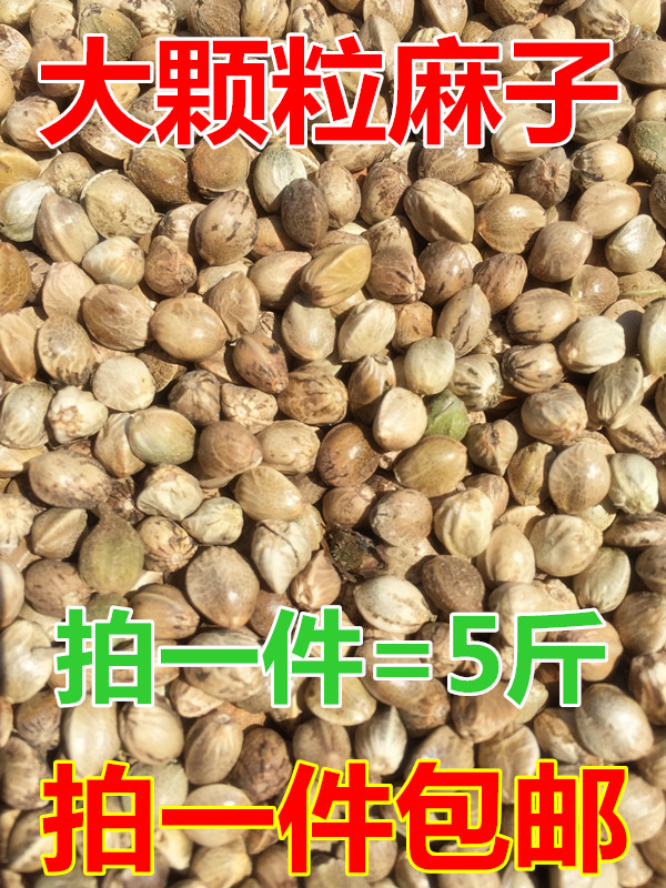Large and medium grain Pock Hempseed/Hemp seed parrot Bird food birdseed Birds feed Hamster Food Rat food 5in the Pet/Pet food and supplies , Birds and supplies , Bird food category - from Buy2taobao.com to provide professional Taobao agent buy service