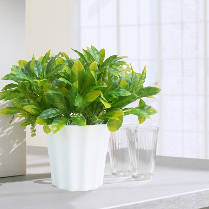 Artificial Plants Eucalyptus suit Decoration Home Furnishing a living room indoor tea table Artificial flower Green plant Potted plant Decorative flowers a decorationin the Home accessories , Vase/Flower/Artificial flowers/Imitation jewelry , Artificial flowers/Artificial flower category - from Buy2taobao.com to provide professional Taobao agent buy service