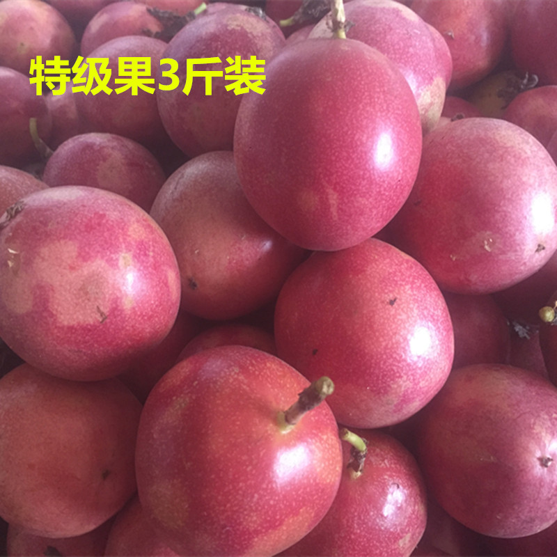 fresh fruit Passion fruit Guangxi specialty Straight hair Passionflower Omelette 3in the Aquatic meat/Fresh fruits and vegetables/Cooked , Fresh fruit , Passion Fruit category - from Buy2taobao.com to provide professional Taobao agent buy service