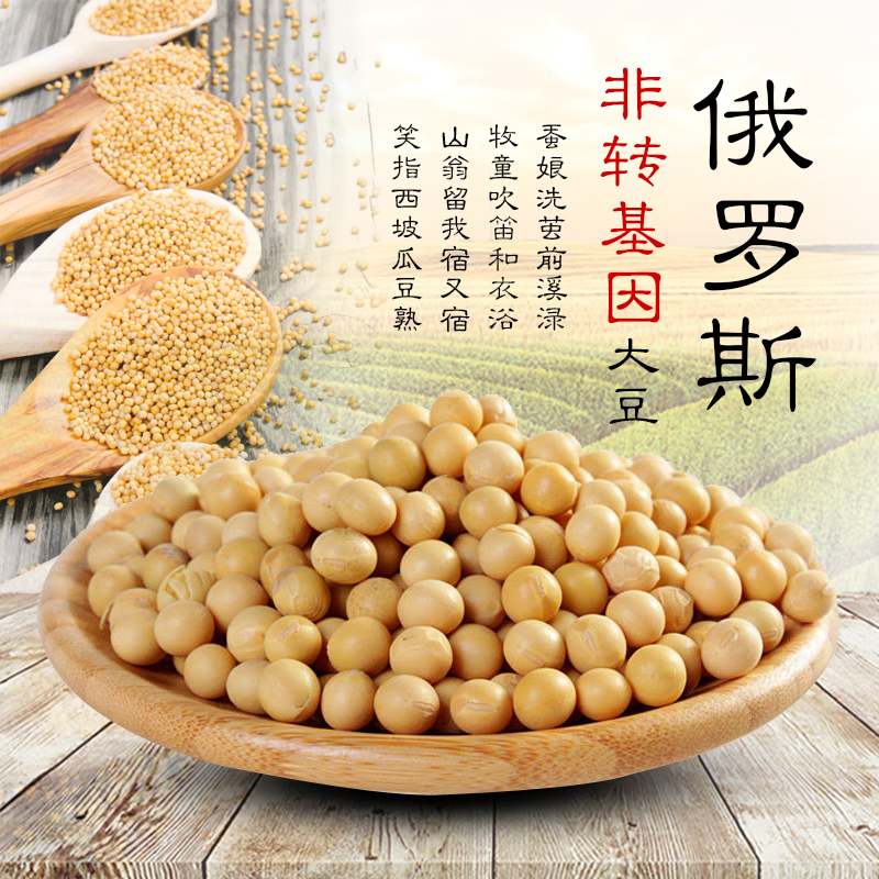 俄羅斯非轉基因新黃豆大豆打豆漿生豆芽笨豆漿發豆芽五斤包郵正品在類目 糧油米麪/南北乾貨/調味品, 米/麪粉/雜糧, 豆類, 黃豆中 - 來自Buy2taobao.com提供專業的淘寶代購服務