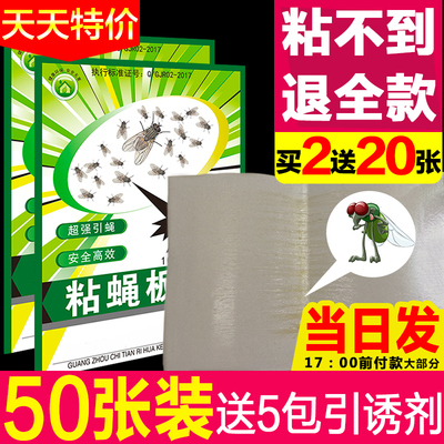 强力苍蝇贴粘蝇纸粘苍蝇抓蚊子虫灭苍蝇药胶灭蝇板捕蝇家用一扫光