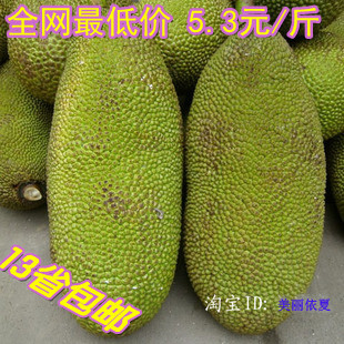  海南新鲜菠萝蜜 包邮 马来西亚1号/新鲜水果木菠萝 13省免邮