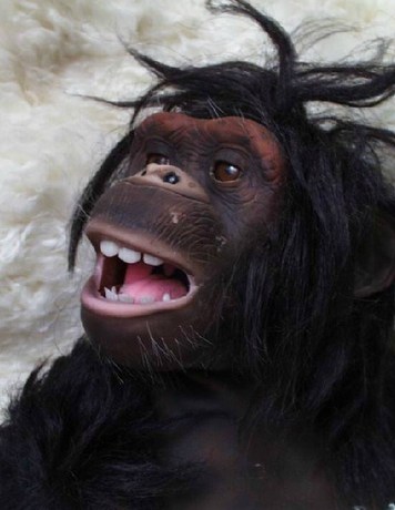 人猿星球 大明猩 黑猩猩大头雕 可遥控 1:1胸像