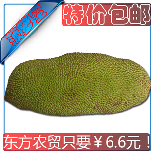  新鲜水果 菠萝蜜 木菠萝 树菠萝 大包干包  马来6号 20斤起 包邮