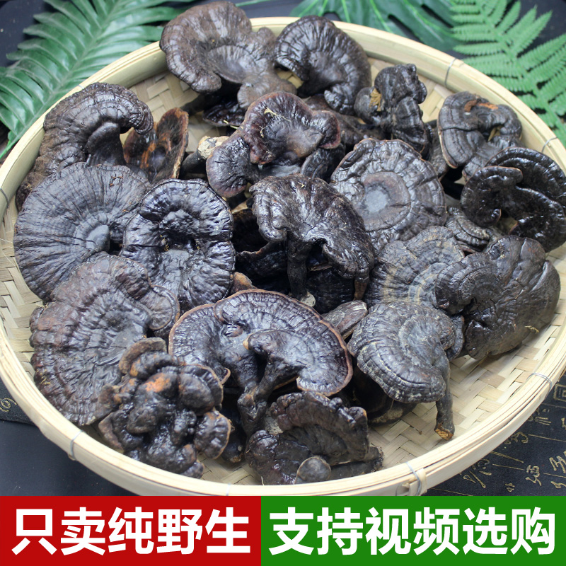 Guangxi wild Ganoderma lucidum Mountains natural Black Ganoderma 250g Pruning Nyingchi section quality goods Sweet and fragrantin the Traditional nourishing food , Ganoderma , Pruning Ganoderma category - from Buy2taobao.com to provide professional Taobao agent buy service