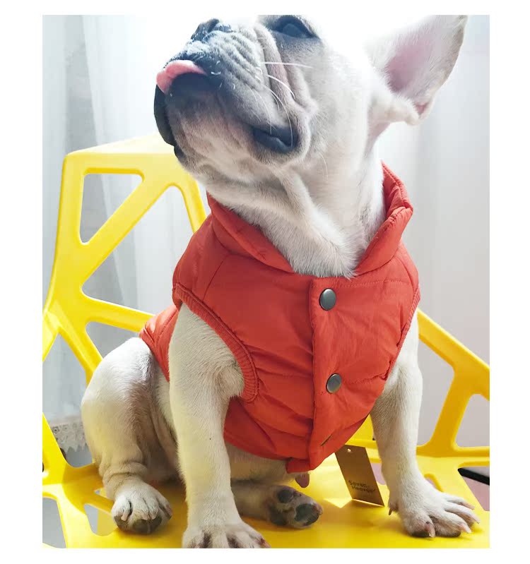 Dogs France bucket Corgi Autumn and winter waterproof cotton-padded jacket Cotton Pets keep warm Vest Clothes & Accessories clothes Winter clothes thickeningin the Pet/Pet food and supplies , Pet apparel and accessories , Pet clothing/Raincoat category - from Buy2taobao.com to provide professional Taobao agent buy service