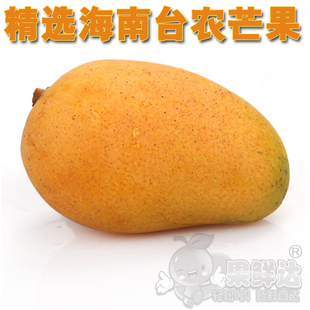  现货海南大小台农芒果/新鲜水果腰芒媲美吕宋芒果/甜品30斤起拍