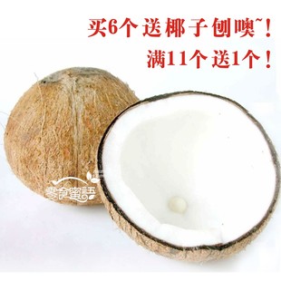  海南新鲜水果|青椰子、金椰、毛椰|满11个送1个|3个起拍 6个包邮
