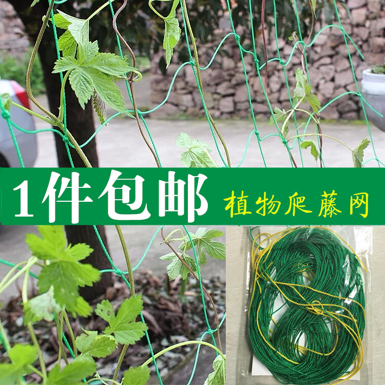 Climbing plant household outdoors courtyard Loofah Passion fruit Botany Climbing Gardening Network Climbing Net ropein the Flower delivery/Flowers simulation/Plants gardening , Gardening supplies , Other Garden Supplies category - from Buy2taobao.com to provide professional Taobao agent buy service