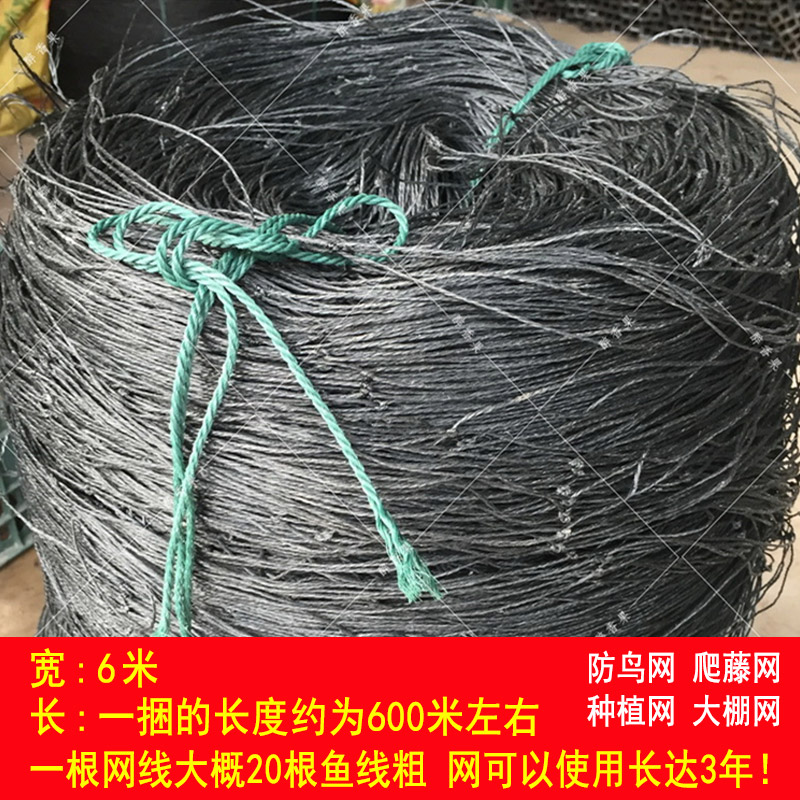 Passion fruit Private Network Botany Climbing Climbing Poultry Bird greenhouse Agriculture cucumber gardening plantin the Flower delivery/Flowers simulation/Plants gardening , Gardening supplies , Other Garden Supplies category - from Buy2taobao.com to provide professional Taobao agent buy service