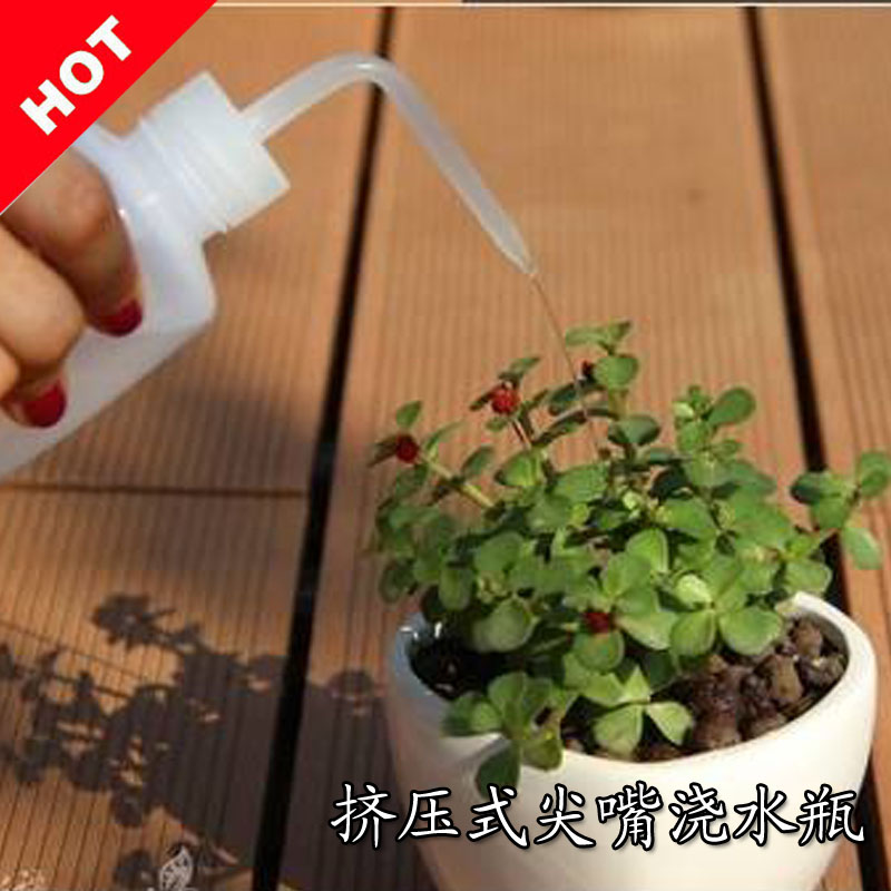 挤压式尖嘴浇水瓶多肉植物工具套装浇水壶多肉壶气吹多肉浇花器在类目 鲜花速递/花卉仿真/绿植园艺, 园艺用品, 洒水/浇水壶中 - 来自Buy2taobao.com提供专业的淘宝代购服务