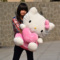 上下架计划:hello kitty公仔可爱毛绒玩具超大号布娃娃KT猫生日礼品女友玩偶
