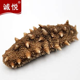  诚悦 即食 冻干海参 无糖无盐 威海野生海刺参8只+8包汤共76g包邮