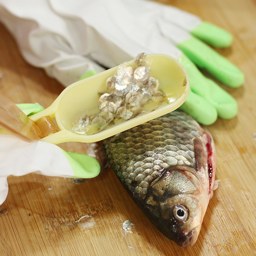 鱼鳞刨神器刮鱼鳞家用打鳞小工具去鳞器杀鱼专用小刷刀快速去鳞在类目 厨房/烹饪用具, 烹饪用具, 刀具, 鱼鳞刨中 - 来自Buy2taobao.com提供专业的淘宝代购服务