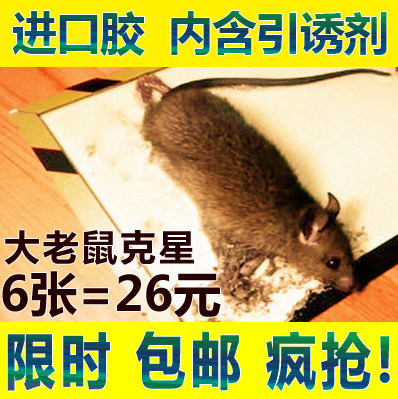 包邮正品柯灭粘鼠板超强力粘板老鼠粘鼠胶药老鼠夹捕鼠器老鼠贴