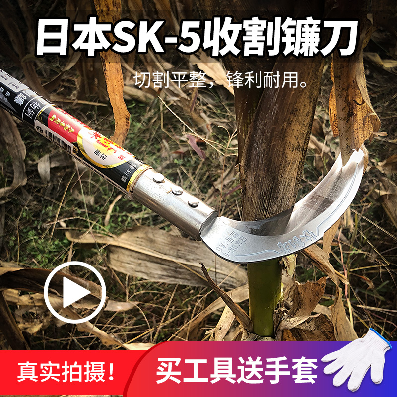 長柄鐮刀日本SK5綠化割草除草割玉米高粱農用割麥子打草廉刀禾鐮在類目 農機/農具/農膜, 農業工具, 鐮刀中 - 來自Buy2taobao.com提供專業的淘寶代購服務