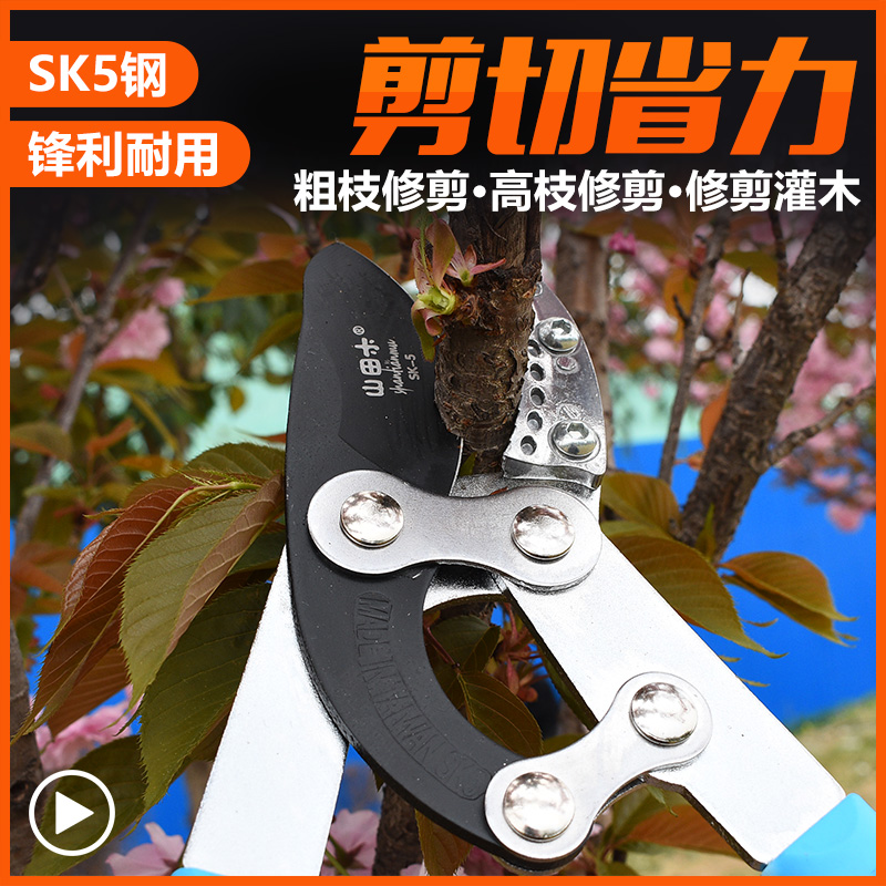 省力强力粗枝剪高枝剪树枝剪刀果树园艺剪刀伸缩大力剪园林大剪刀在类目 五金/工具, 手动工具, 剪, 园艺剪中 - 来自Buy2taobao.com提供专业的淘宝代购服务