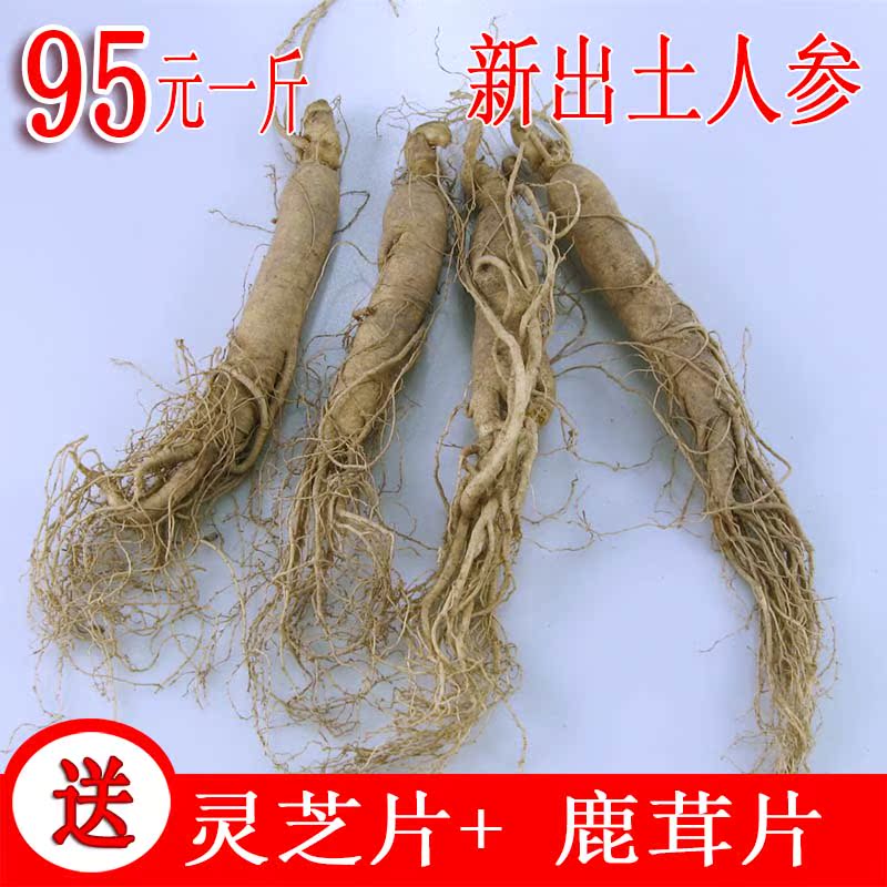 长白山鲜人参 白参 园参 新鲜大个 鲜参一斤10支 95元500克包邮|ruв категории традиционные питательный пища, женьшень класса тоник, женьшень/женьшень - от Buy2taobao.com для оказания профессиональной услуги покупки агента Taobao