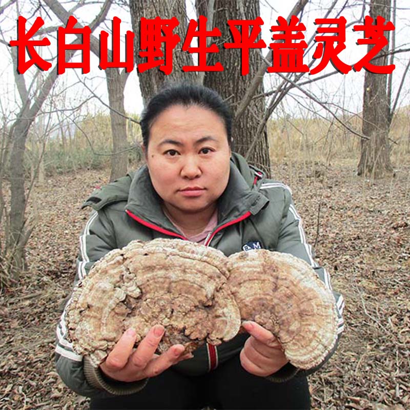 长白山野生灵芝 平盖灵芝 树舌灵芝 老牛干 12元500g 2斤包邮在类目 传统滋补营养品, 灵芝, 整枝灵芝中 - 来自Buy2taobao.com提供专业的淘宝代购服务