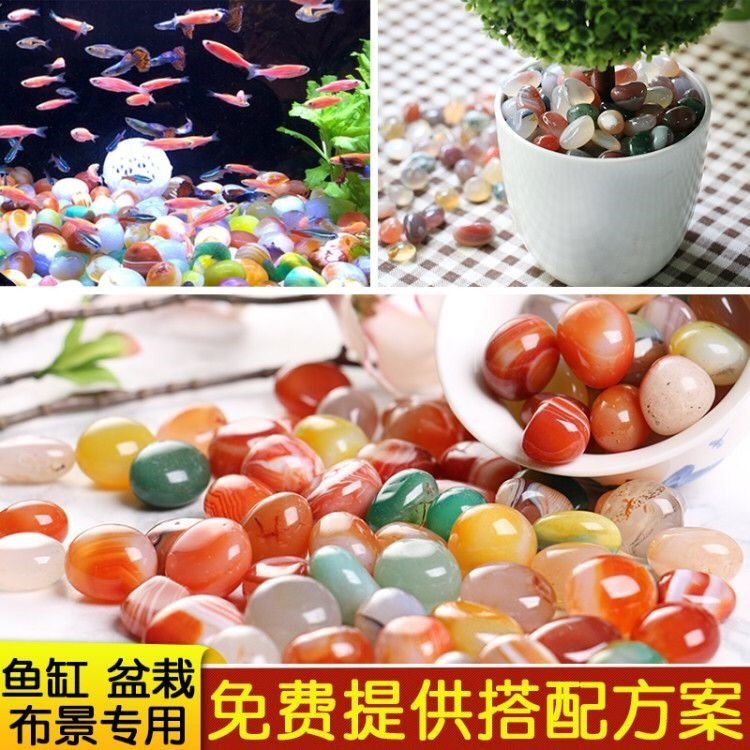 ✅?小盆栽脚垫石子铺地按摩垫雨花石七彩色花瓶装饰基质园林。。在类目 鲜花速递/花卉仿真/绿植园艺, 园艺用品, 其它园艺用品中 - 来自Buy2taobao.com提供专业的淘宝代购服务
