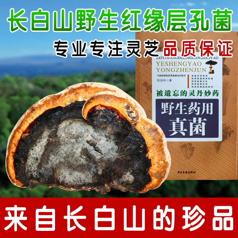 Changbai wild Red edge natural tradition Tonic Nyingchiin the Traditional nourishing food , Ganoderma , Pruning Ganoderma category - from Buy2taobao.com to provide professional Taobao agent buy service