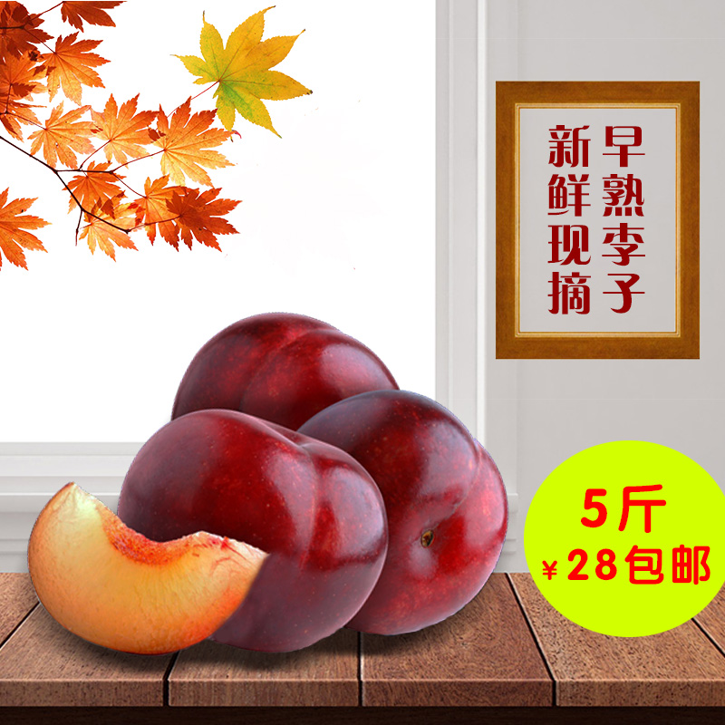 新鲜李子当季孕妇水果 酸甜爽口现摘现发5斤装包邮,6月份上市在类目 水产肉类/新鲜蔬果/熟食, 新鲜水果, 李子中 - 来自Buy2taobao.com提供专业的淘宝代购服务