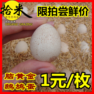  拾米鹧鸪蛋(飞龙蛋)尝鲜价 每ID限拍一单=2枚 孕妇宝宝脑黄金