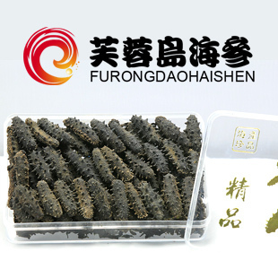  芙蓉岛野生参王 淡干海参 珍品堂海参 渤海深海海参 50克