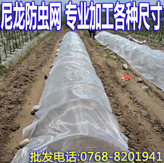新料防虫网 大棚防虫网40目80目加密果树蔬菜桌罩 可按尺寸定作|ruв категории оборудование/инструменты, машины и оборудование, разделение оборудования - от Buy2taobao.com для оказания профессиональной услуги покупки агента Taobao