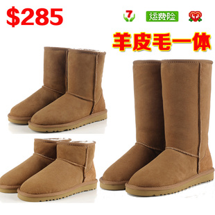  正品新款 澳洲代购雪地靴 5825羊皮毛一体 中低筒靴 冬季男士靴子