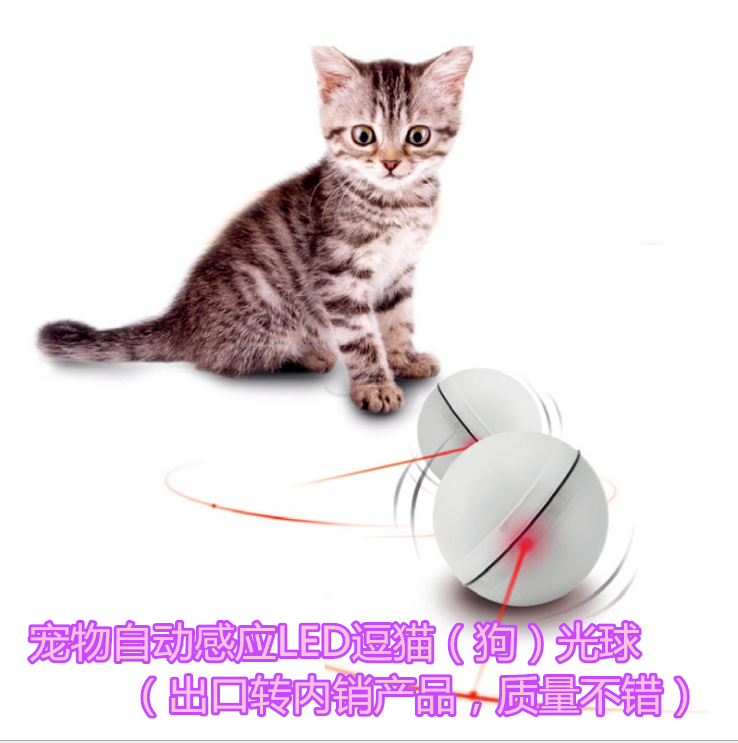 OEM Exit Domestic MAGIC LED Flash Roll Toys Luminous balls Kitty Induction Ballin the Pet/Pet food and supplies , Cat/Dog Toys , Rubber Ball/Ball Toys category - from Buy2taobao.com to provide professional Taobao agent buy service