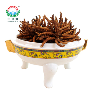  三江源20g组合装一级虫草青海玉树冬虫夏草